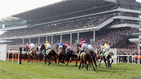 cheltenham races betting